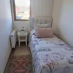 Los Castanos De Alicura